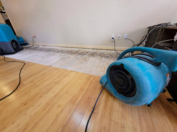 Reliable Storm Water Damage Restoration contractor in Crosby, ND by Hirex Water Damage