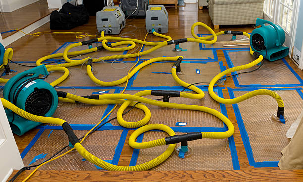 Professional Storm Water Damage Restoration technician working in Crosby, ND